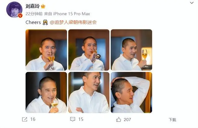 _刘嘉玲梁朝伟不孕原因_刘嘉玲梁朝伟离婚了吗