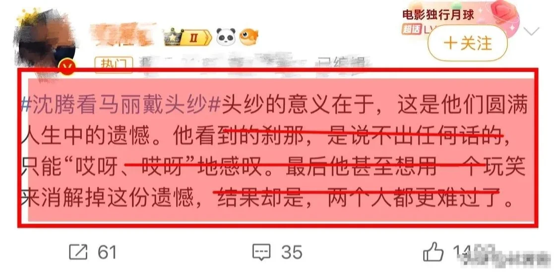 _沈腾看马丽戴头纱的表情，引发热议，网友：眼里全是故事，意难平_沈腾看马丽戴头纱的表情，引发热议，网友：眼里全是故事，意难平