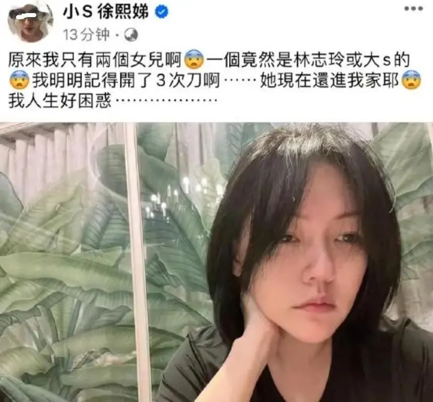 小S女儿蹭大S流量翻车？本想展示自己的潇洒，却反被扒出黑历史_小S女儿蹭大S流量翻车？本想展示自己的潇洒，却反被扒出黑历史_